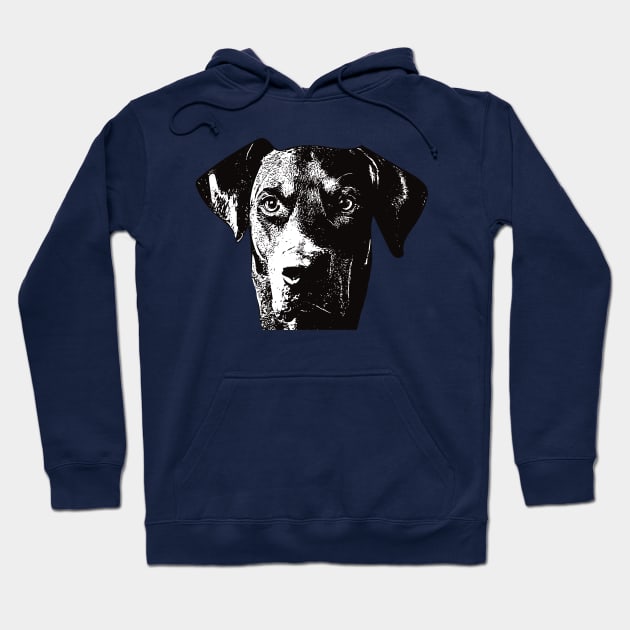 German Pinscher - Pinscher Christmas Gifts Hoodie by DoggyStyles